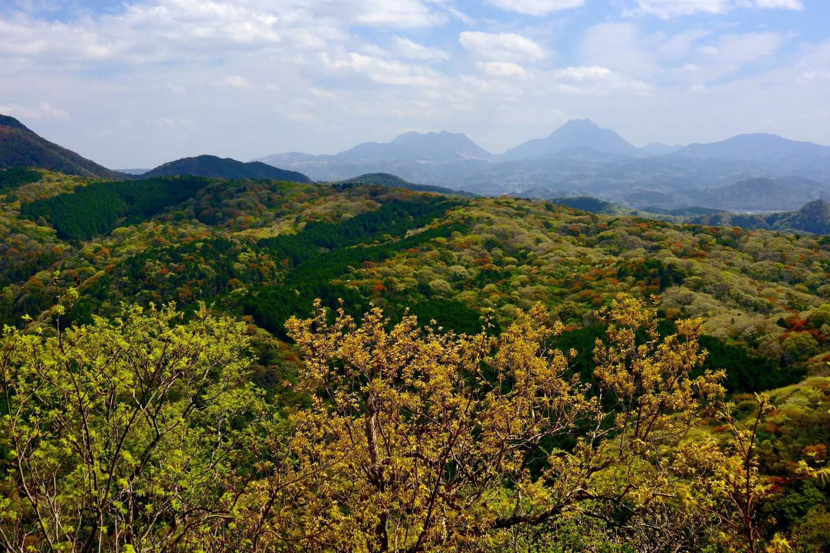 鶴見岳・由布岳