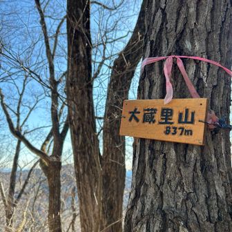 大蔵里山837m