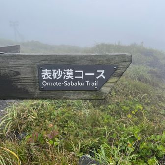 アレッ！
表もあるの？