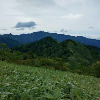 ８時前に着いてしまった。ゆっくりしようと思ったけど、止まる寒いくらいなので下山します。
未踏の白砂山、いつかは行きたいな～。
