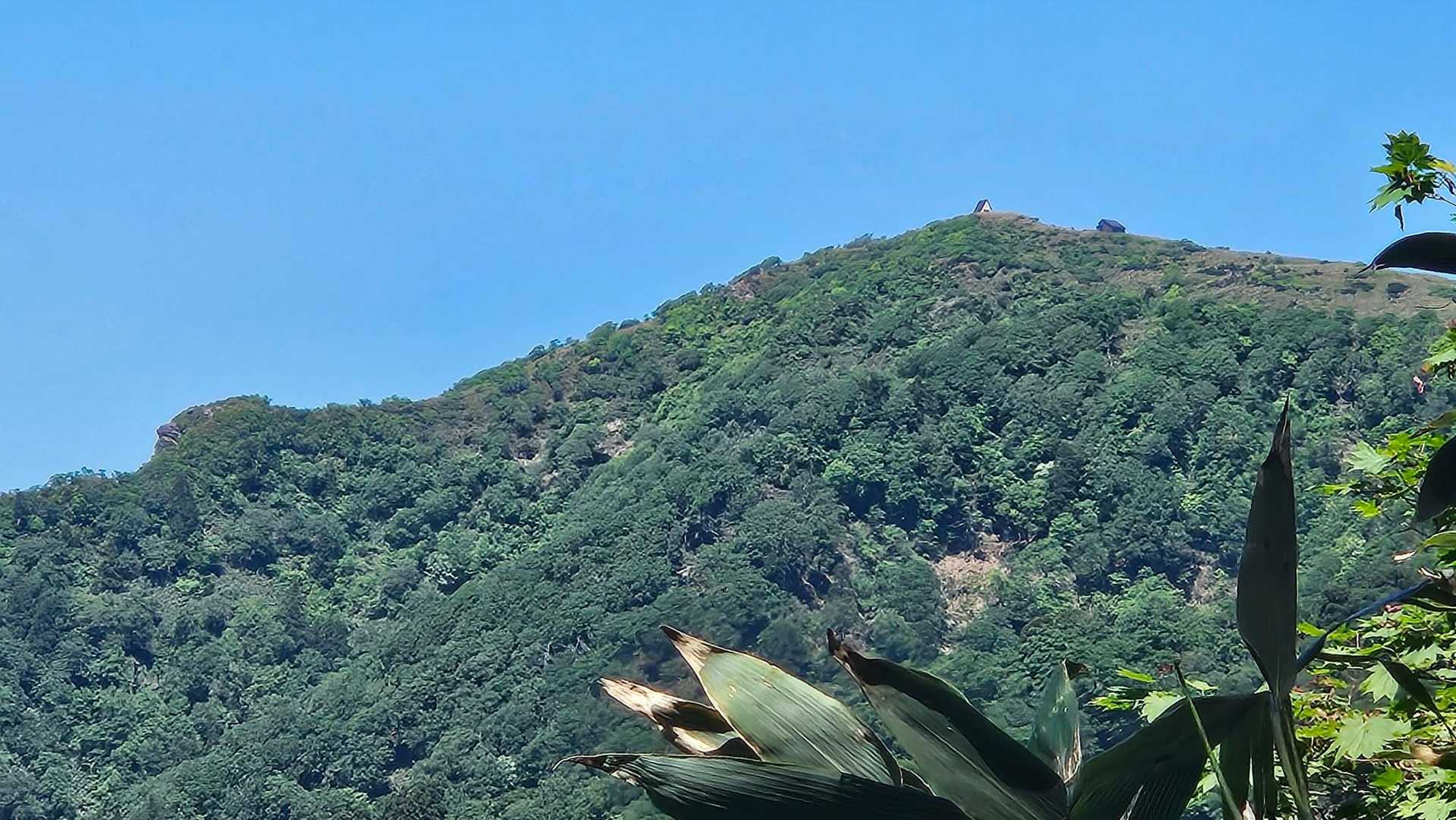 氷ノ山-氷ノ山 周回コースの写真