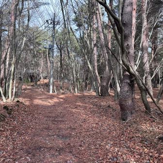 あっという間に本栖湖キャンプ場まで戻ってきました。