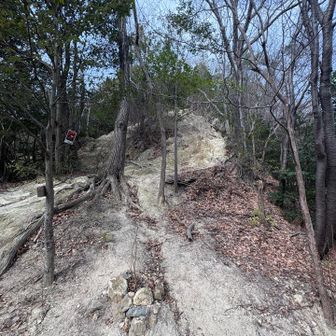 ロックガーデンスタートです！