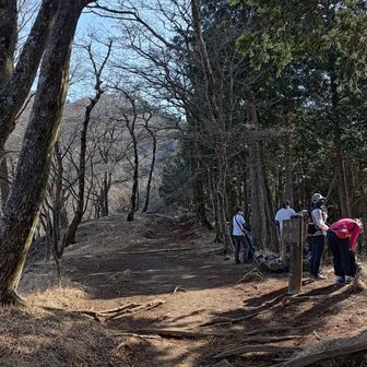 踊り場も丹沢ならでは