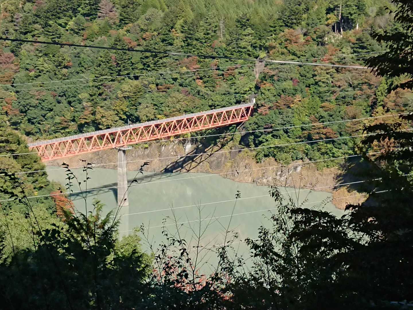 智者山登り口-智者山-天狗石山-奥大井湖上駅 縦走コースの写真