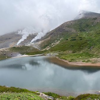 姿見の池にも旭岳は映らず