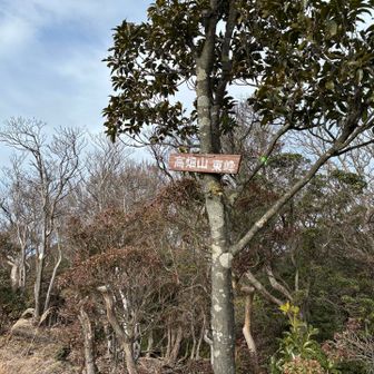 高畑山東峰とおちゃこ🎵