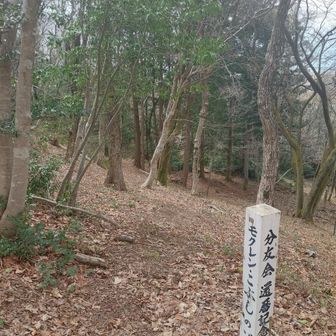 今日は 久しぶりにこちらへ行ってみます🫡