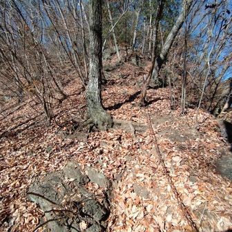 大前山に登る鎖場。