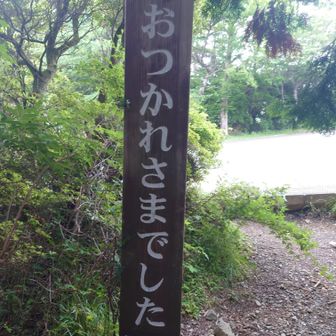 登山道入口　裏側　おつかれさまでした