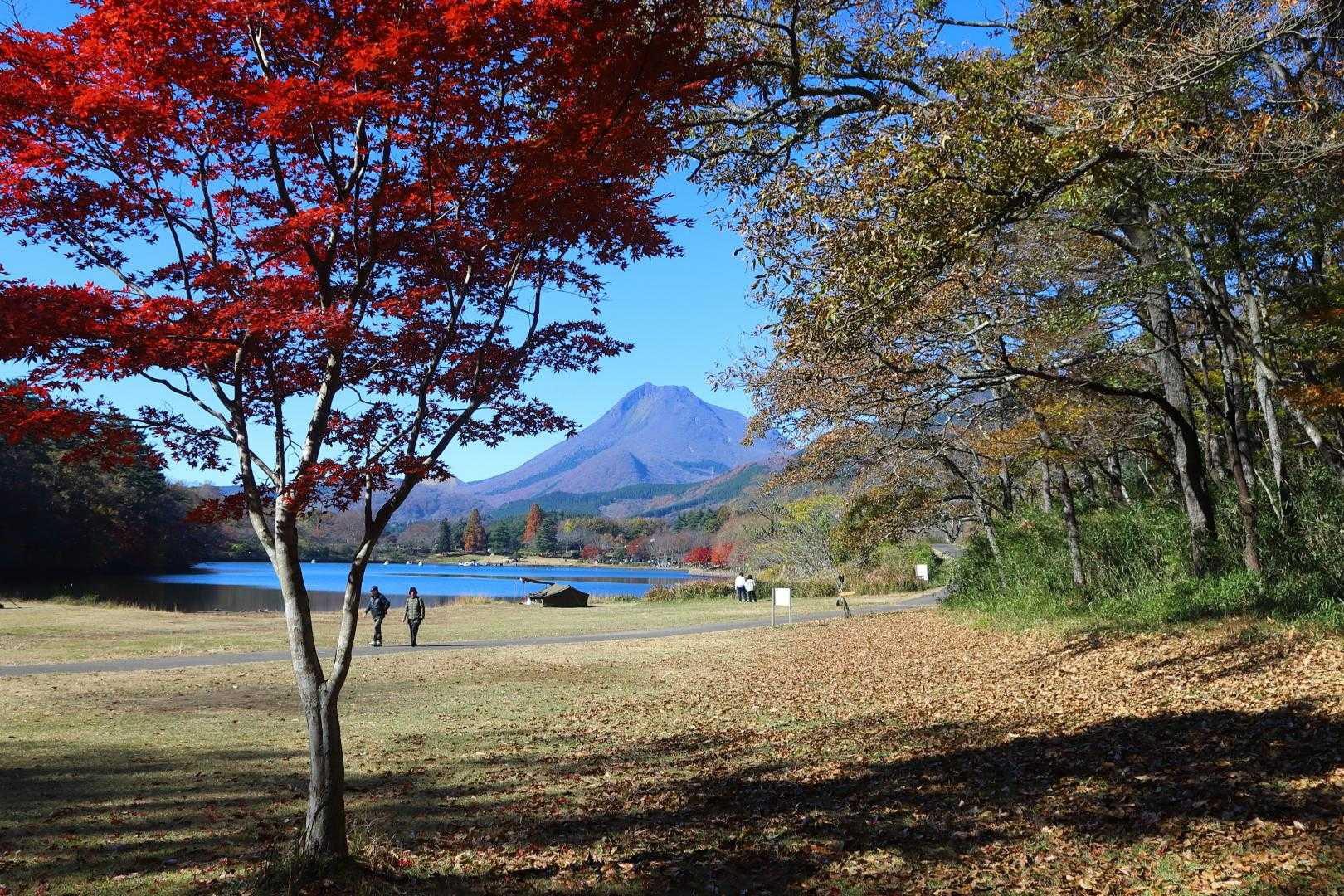 志高湖畔バス停-小鹿山 周回コースの写真