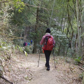 走ってく～　無理～