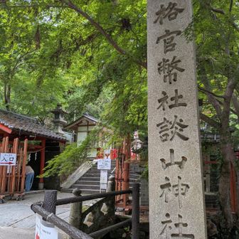 談山神社
(たんざんじんじゃ)
談山
(かたらいやま)
なのかなぁ🤔
今度確かめてみよう