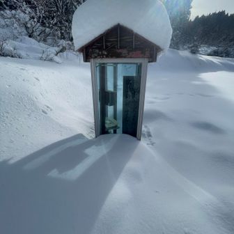 時間かかったけど目標達成！

全く達成感は無いが、、

ずーっと夏道、だいぶ藪が埋まって来てるんだけどもうちょいかなぁ