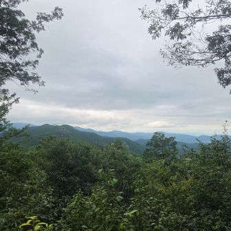 手前が臼入山
