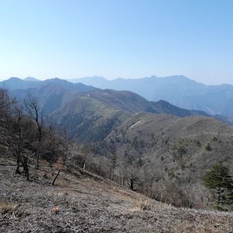 左手前に「野地峰」