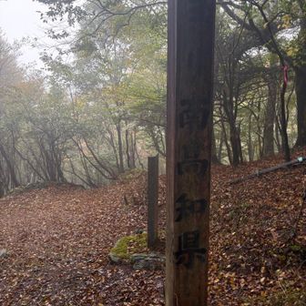 県境　高知県⬆️