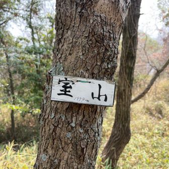 登り切ったぞ
あと0.2m背伸びできれば…