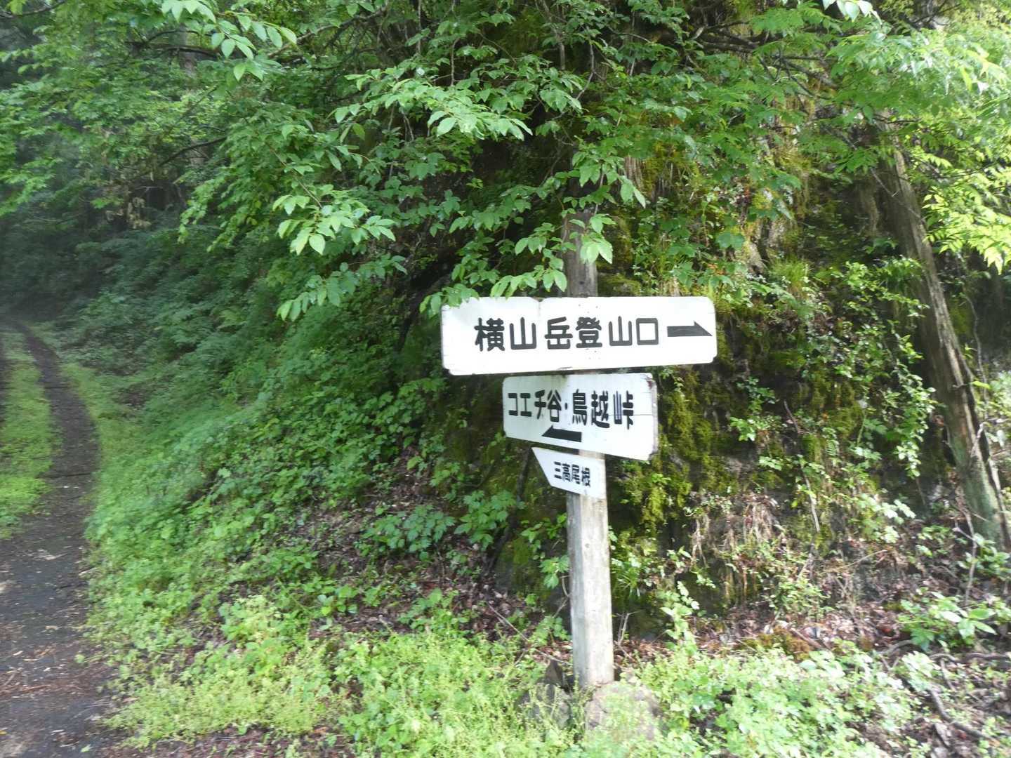 まずコエチ谷から鳥越峠を目指します。

今日はストックを使い、CTを意識しながらゆっくり歩きます。本日の課題