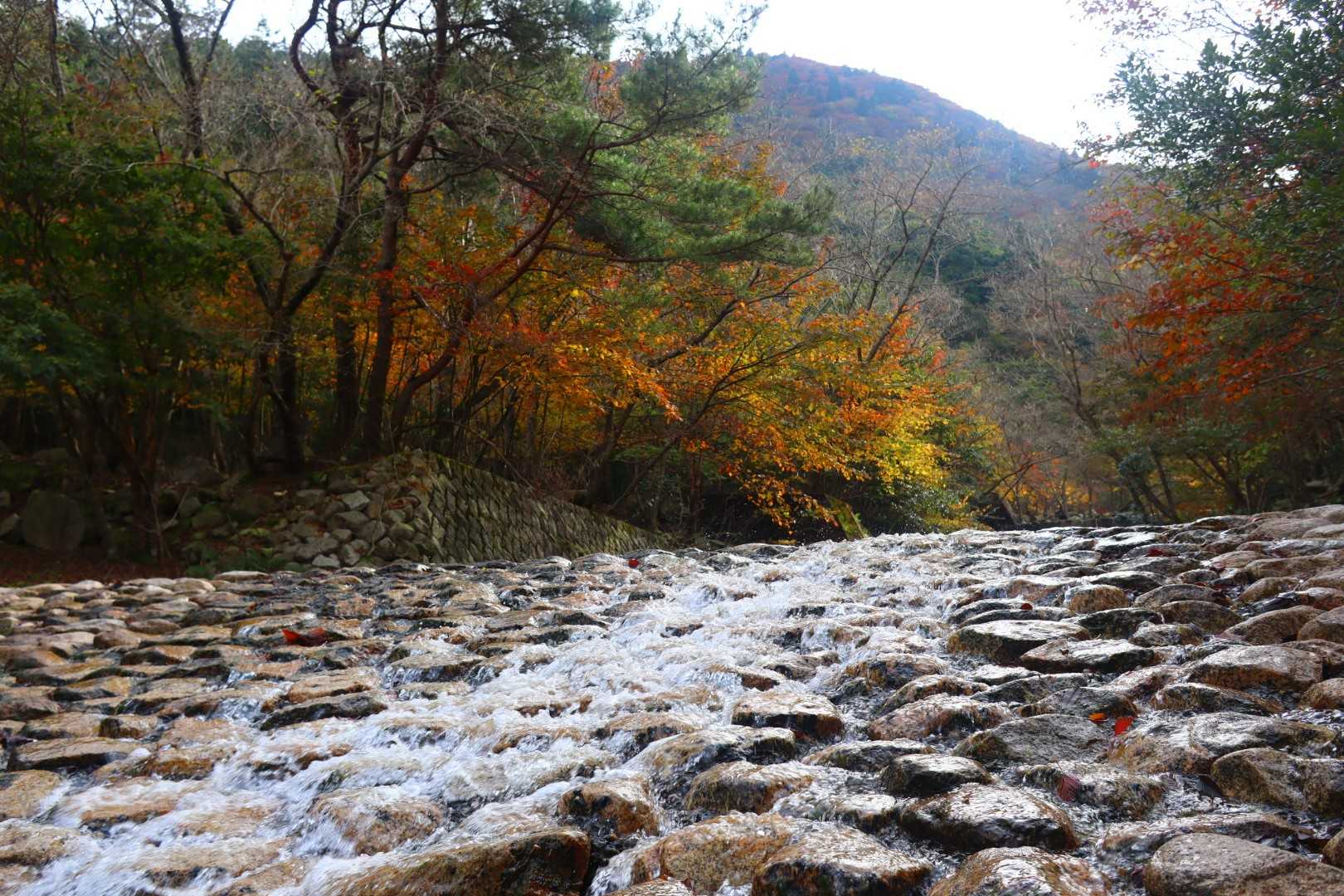 朝明登山口-国見岳-根の平峠 往復コースの写真