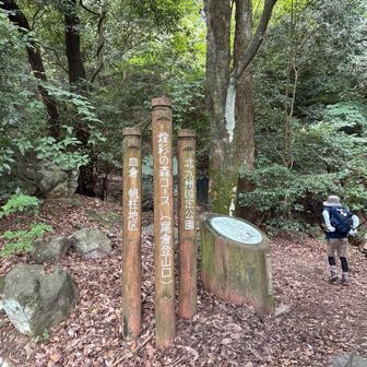 いつもの表参道から(๑•̀ㅂ•́)و✧ ｲｸｾﾞ‼︎今日はお元気な先輩達にたくさんお会いしました♬