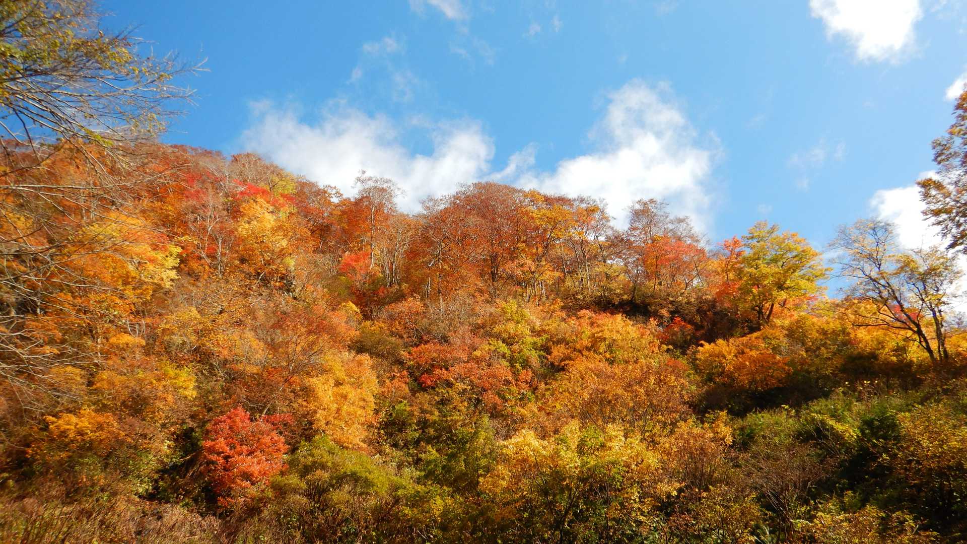 相沢林道登山口-女神山登り口-女神山 周回コースの写真