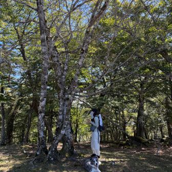後平家までさくっと
