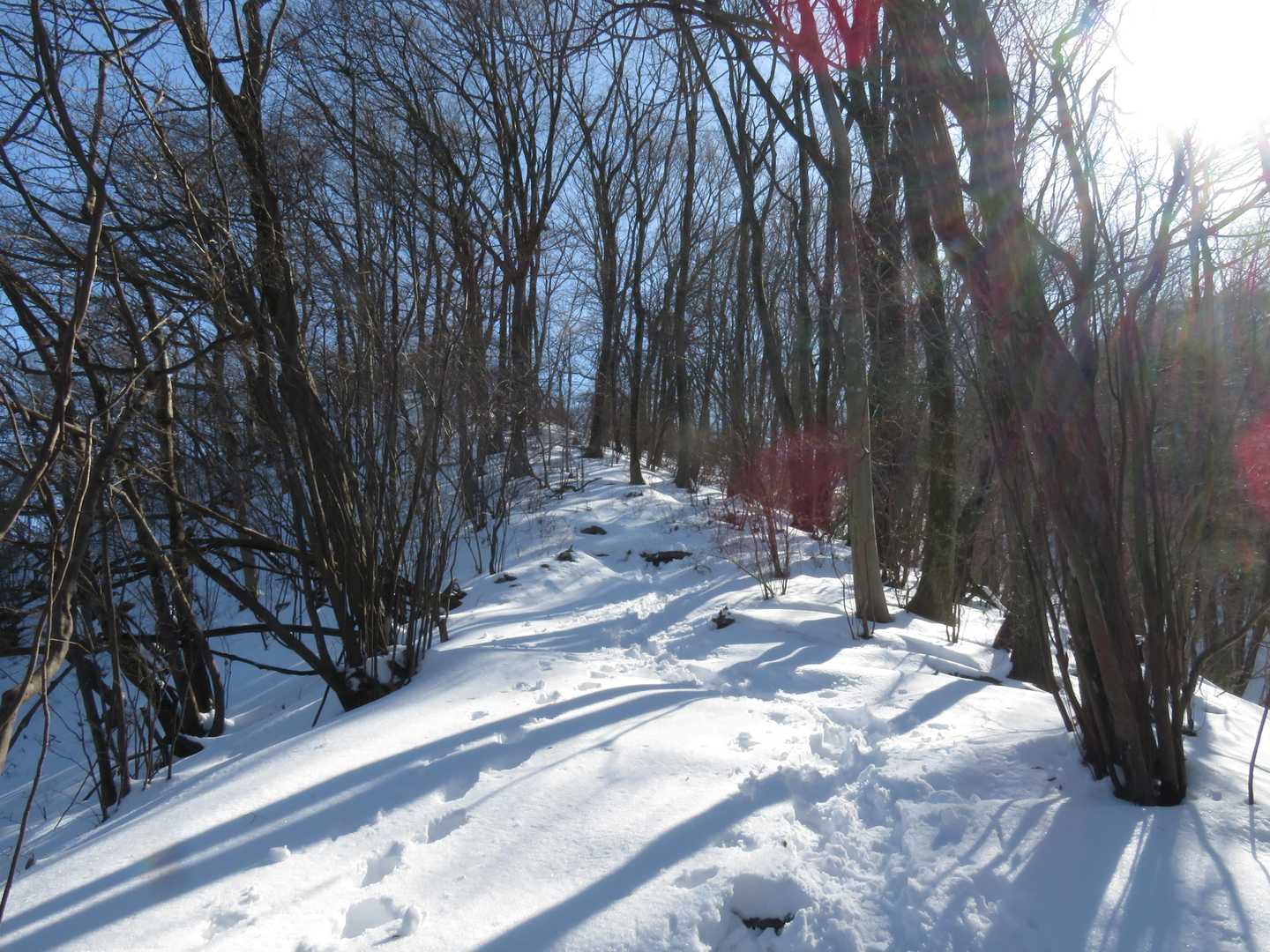 これだから大霧山はやめられない