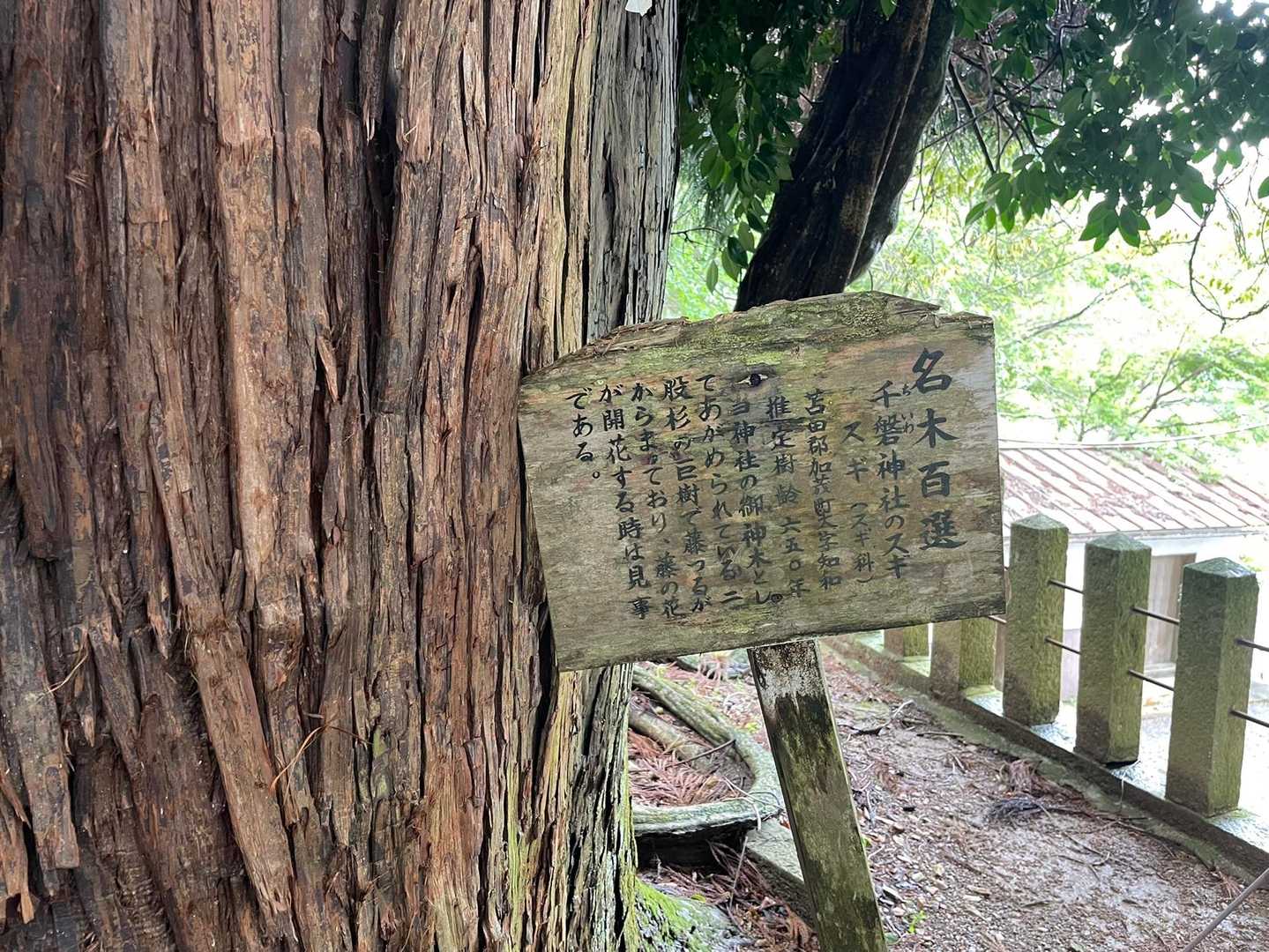 立派です。