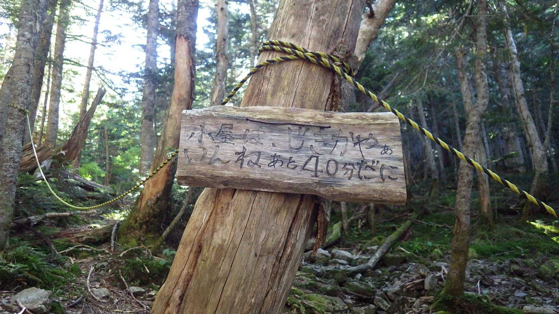 塩見小屋直下までは緩やかなアップダウンの道☺
いんねあと40分だに(≧▽≦)ﾉ