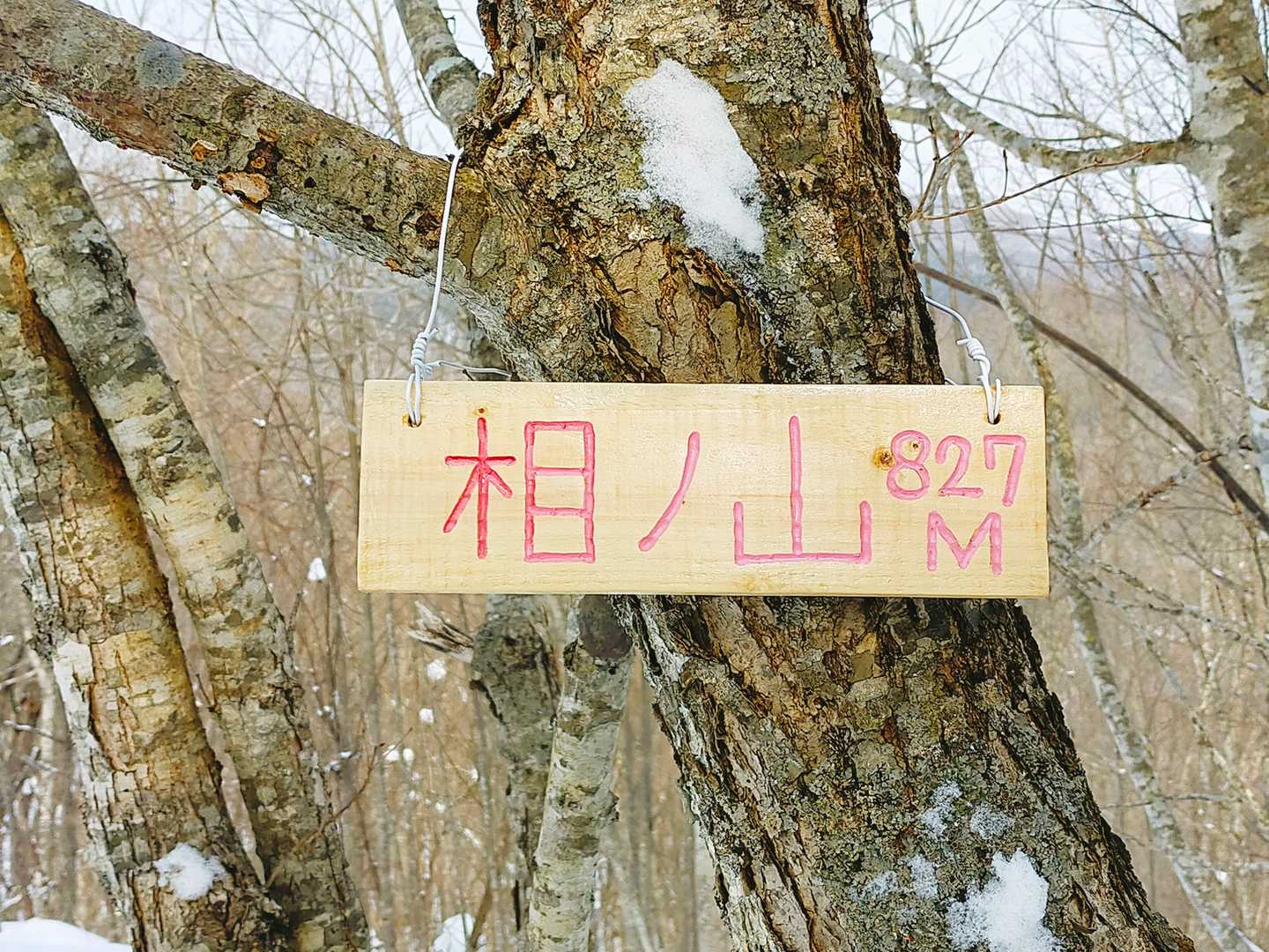 到着😆
川崎山とおなじ『ひ』さん作プレート😄