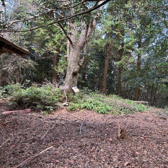 最後のピーク仙崎山🏔️
ピストンで帰る？地蔵尊があるみたいなので行ってみようよ🤭
で、反対側の舗装路まで下りたら、更に歩けとなってた😢
いやいや、もういーや、帰ろうよ🙇‍♀️