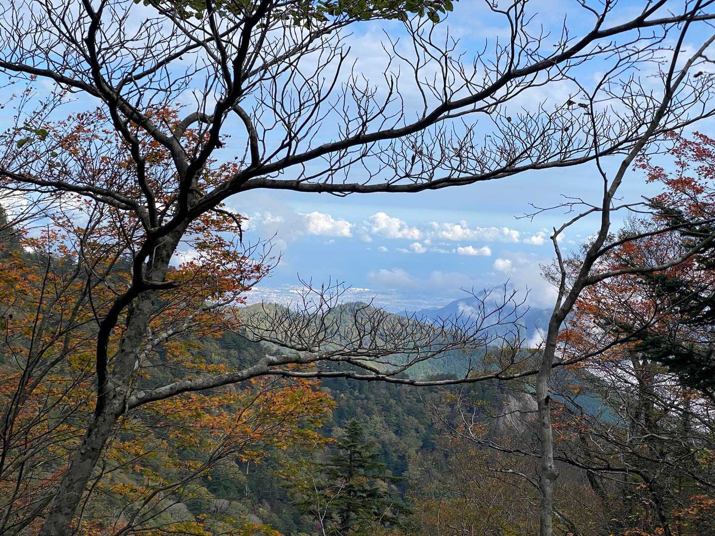 自然の額縁🖼️
