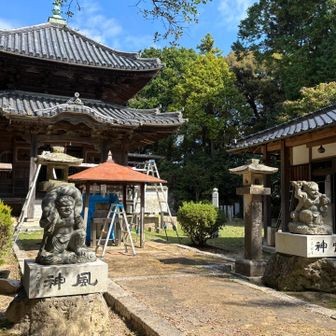 お寺に上がってきました。
風神様、雷神様

ここで作戦会議。
本当はロード苦手な我々はピストンするつもりだったけど、蜘蛛の巣と羊歯、急斜面に疲れて周回することに。
それならこの寺の先を進むところ、二人してまた100数段の階段を間違って降りてしまいました😂

あれーと、笑いながら階段を登り直して、この左手よりコンクリの道を下ります👣