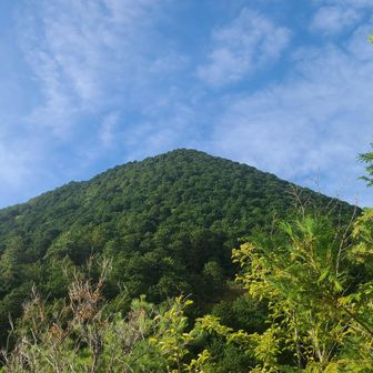 三上山に帰ってきました