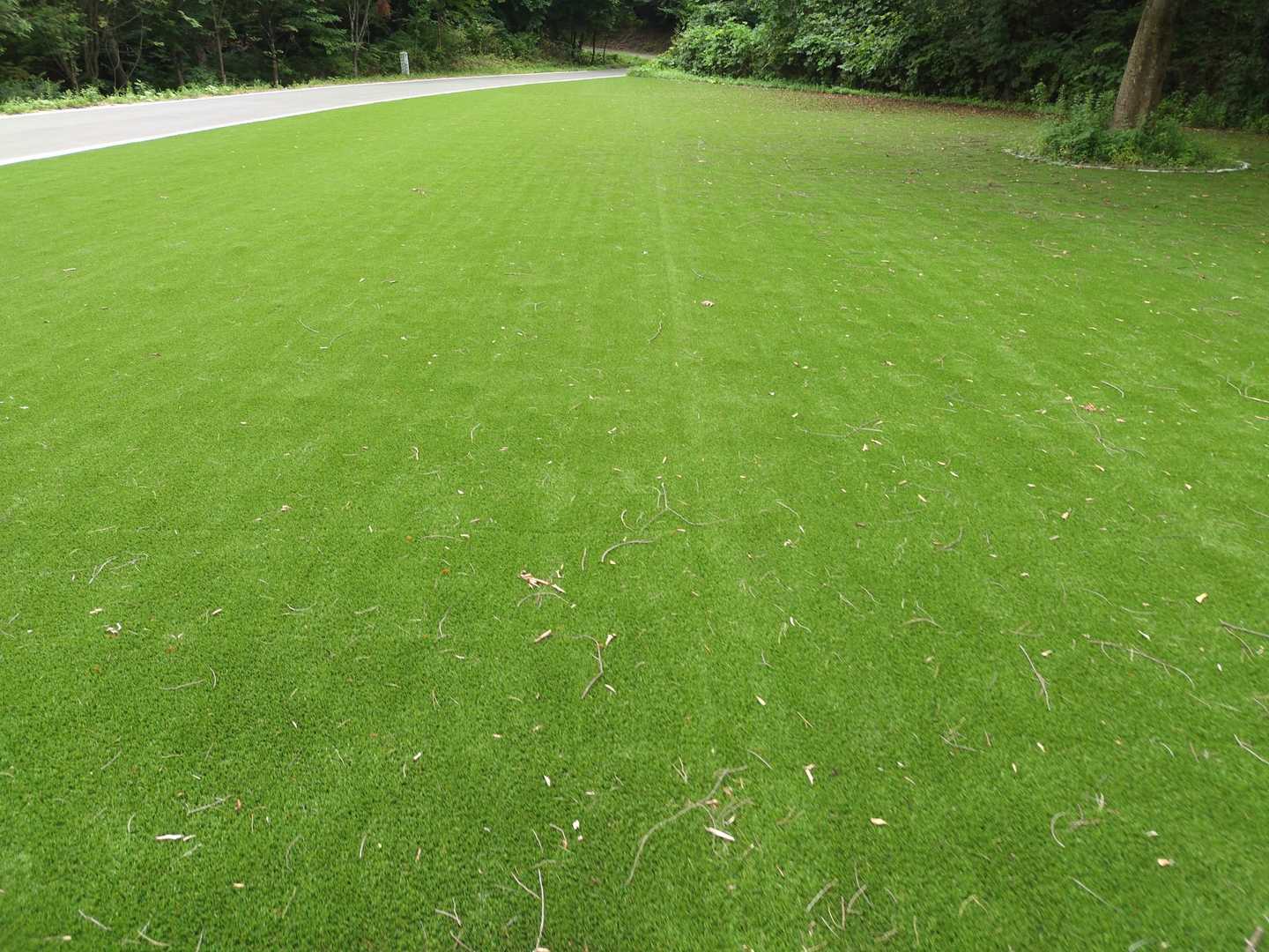 駐車場脇の広場は、人工芝です。
雑草防止策でしょうかね。