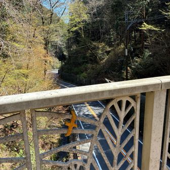 大垂水峠に到着！

ここの道路にでる手前の階段が
なかなか急下りで
慎重におりました

さてここから高尾山に登り返し💪