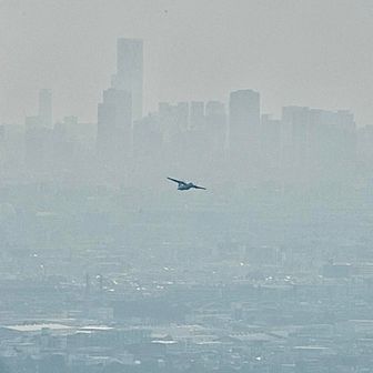 伊丹空港を飛び立つ小型機🛩️