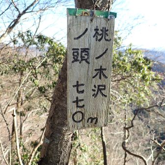 風巻の頭には山名板は見つけられませんでしたが、花ノ木沢の頭にはありました。