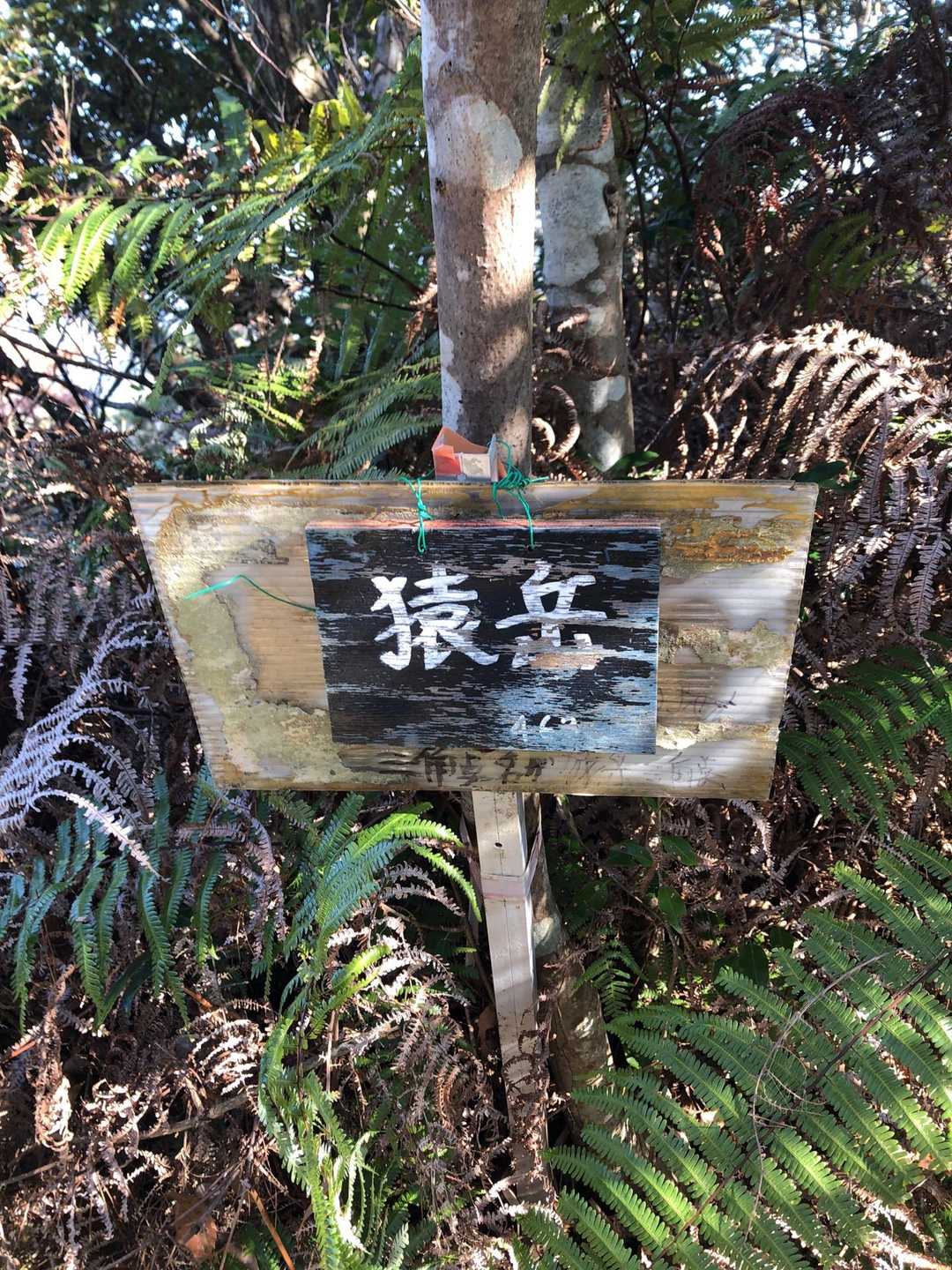 猿岳登頂⛰️
