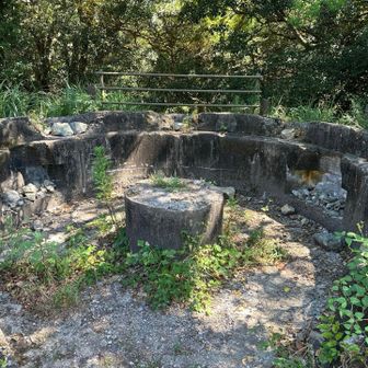この辺りが1番高い場所だけど山頂標識はない