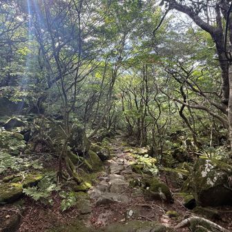 でも夏場はもうこのコース来ないかな〜