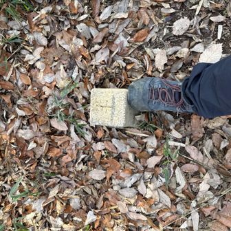 『長官。この状況、好機かと』

368座目。御嶽山登頂⛰️
登山道から横道に逸れたとこに三角点。