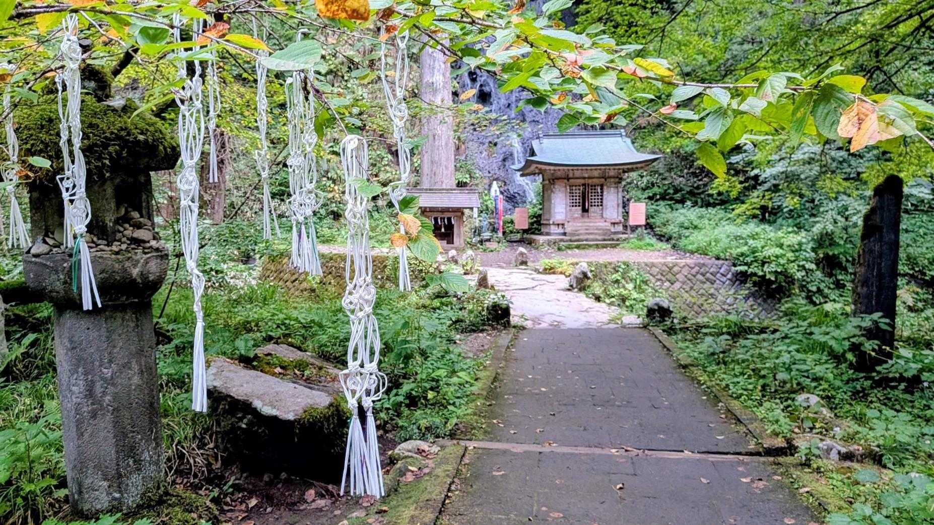 注連掛桜(しめかけざくら)
身につける白いお注連は結界を意味し、山中の魔障が憑かないようにするものです
修験者が本来用いる結袈裟の流れを汲むもの
結袈裟の結
「結縁(神仏と縁を結ぶ)」という意味
本来羽黒山参りを終えた方は、秡川の橋の前で注連を外し袂にある「注連掛桜」に掛け、橋を渡って現世に戻ったそうです