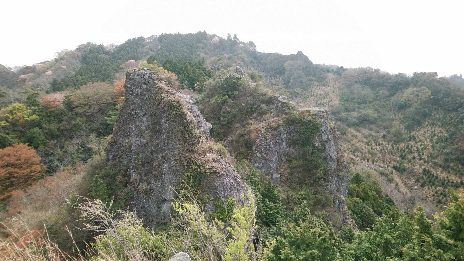 田原山（鋸山）の写真