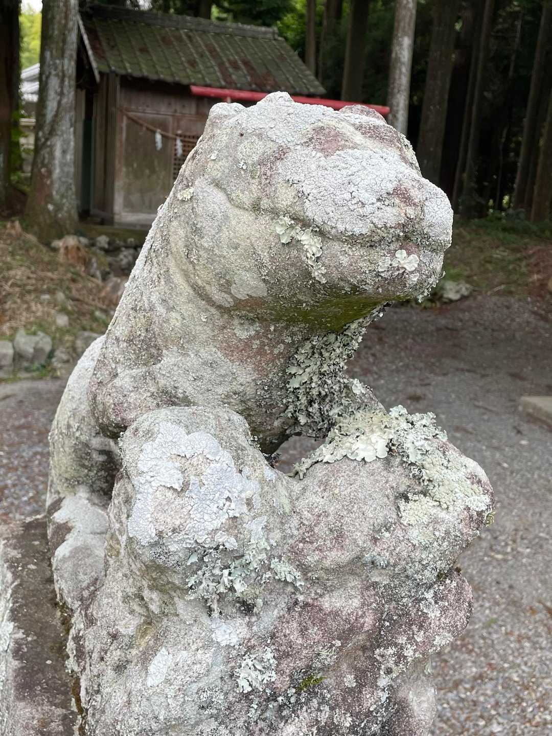笑ってる😄