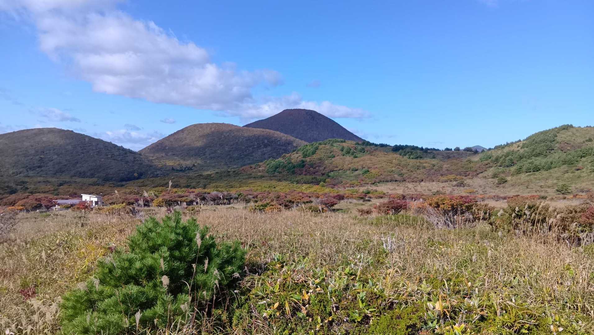 秋ですなぁ🍁
