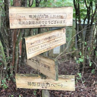 山頂到着