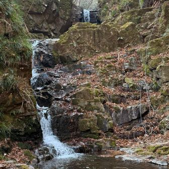 九頭龍の滝。名前がかっこいい。9つあるかはよくわからんかった。