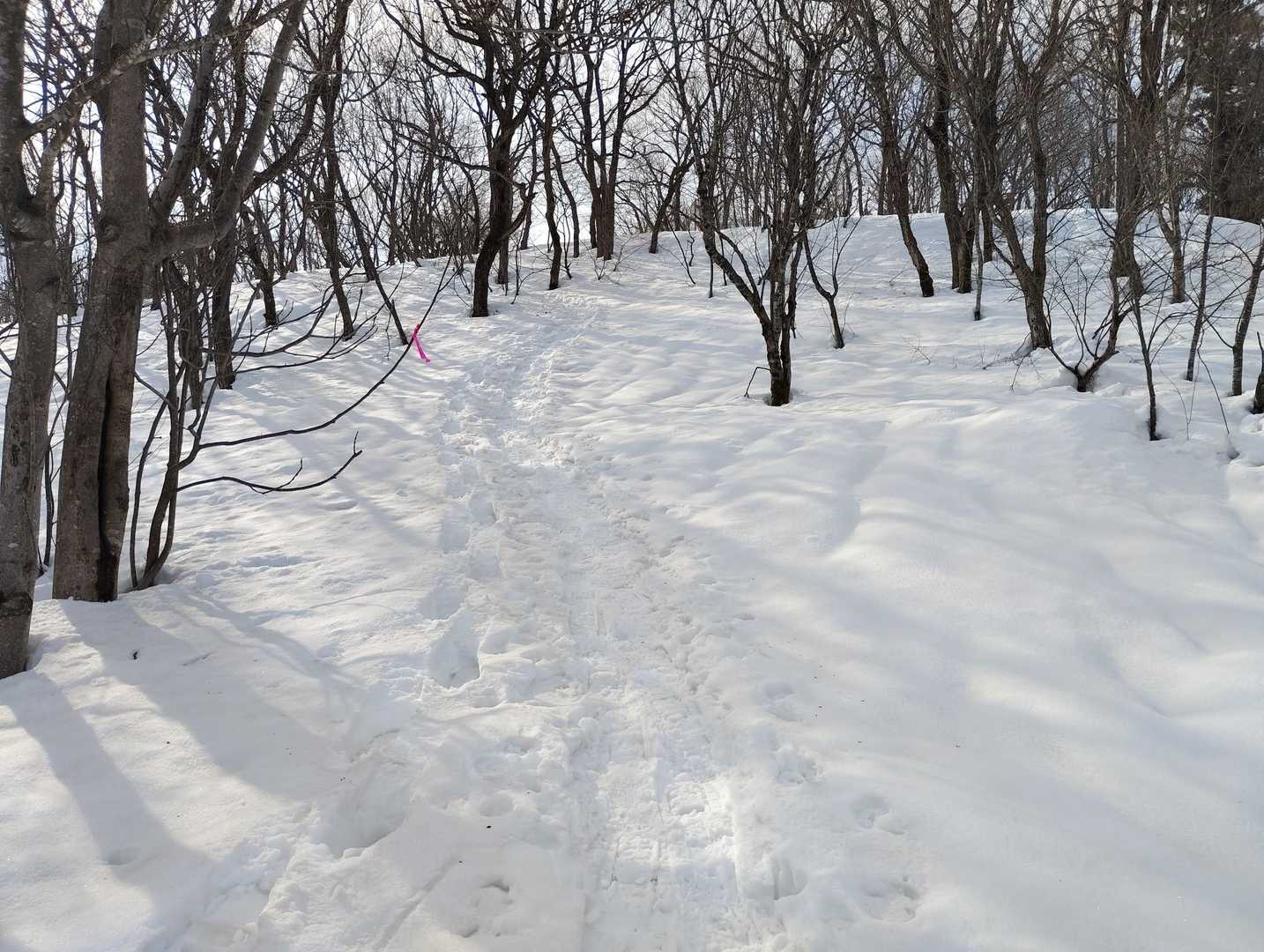 最初の冬道に
